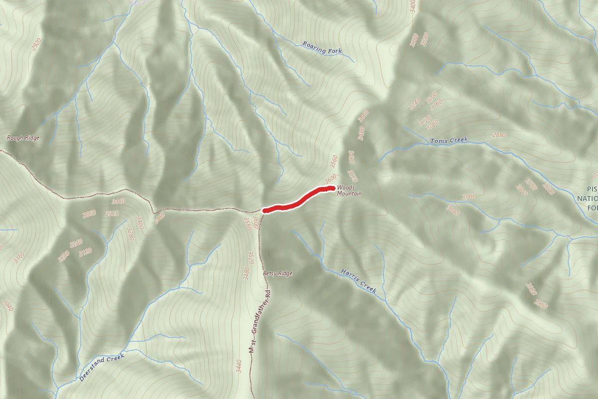 Woods Mountain