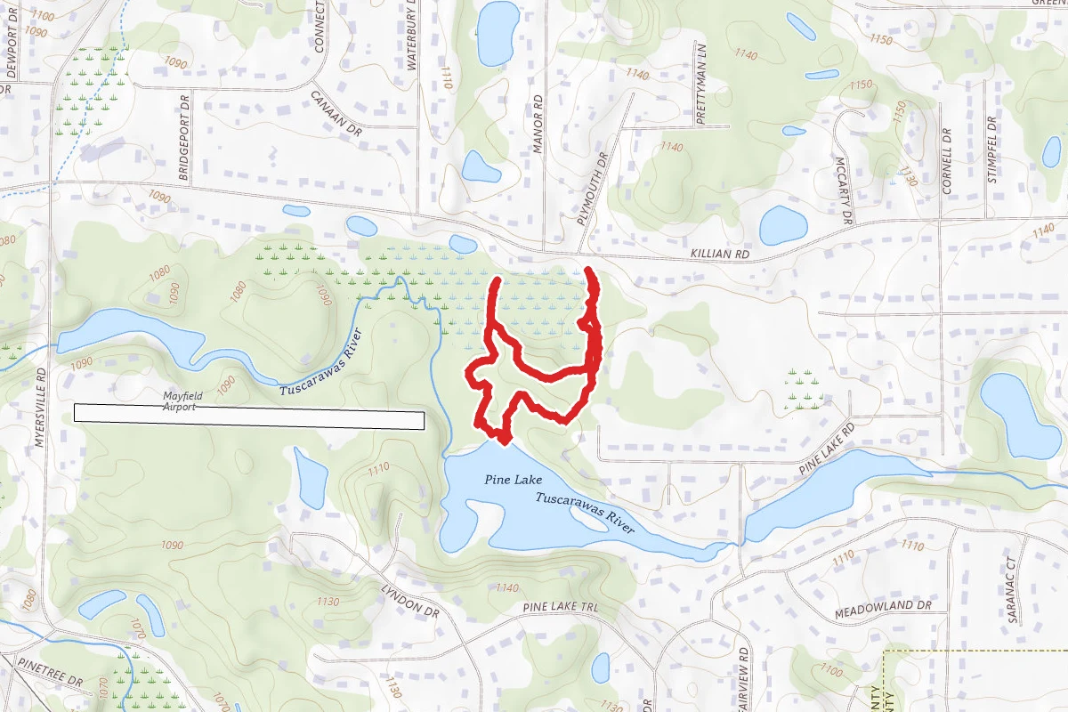 Laurer Park Loop