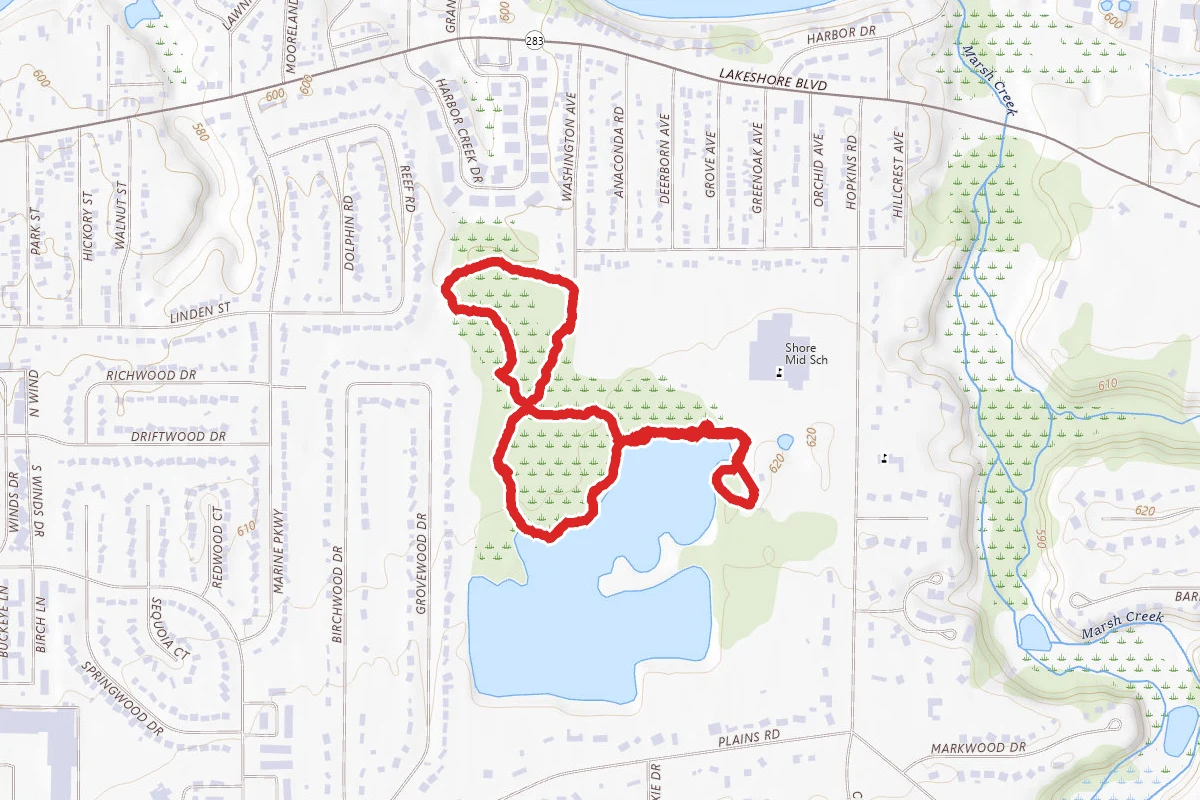 Cardinal and Swamp Forest Loop Trail