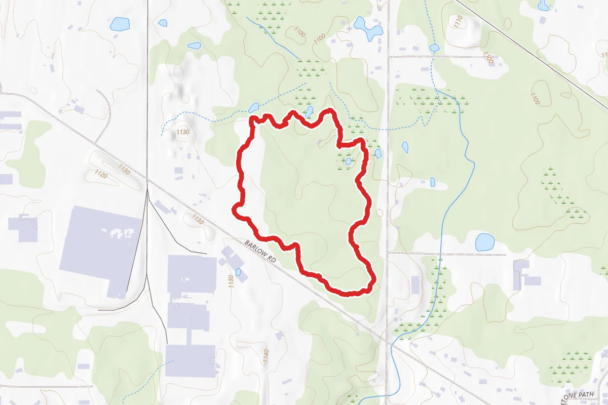 Downy Loop Trail