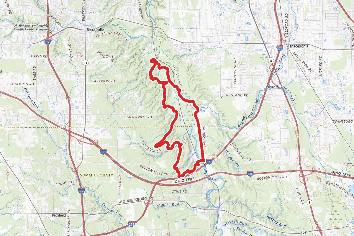 Buckeye Trail to Bridle Trail Loop