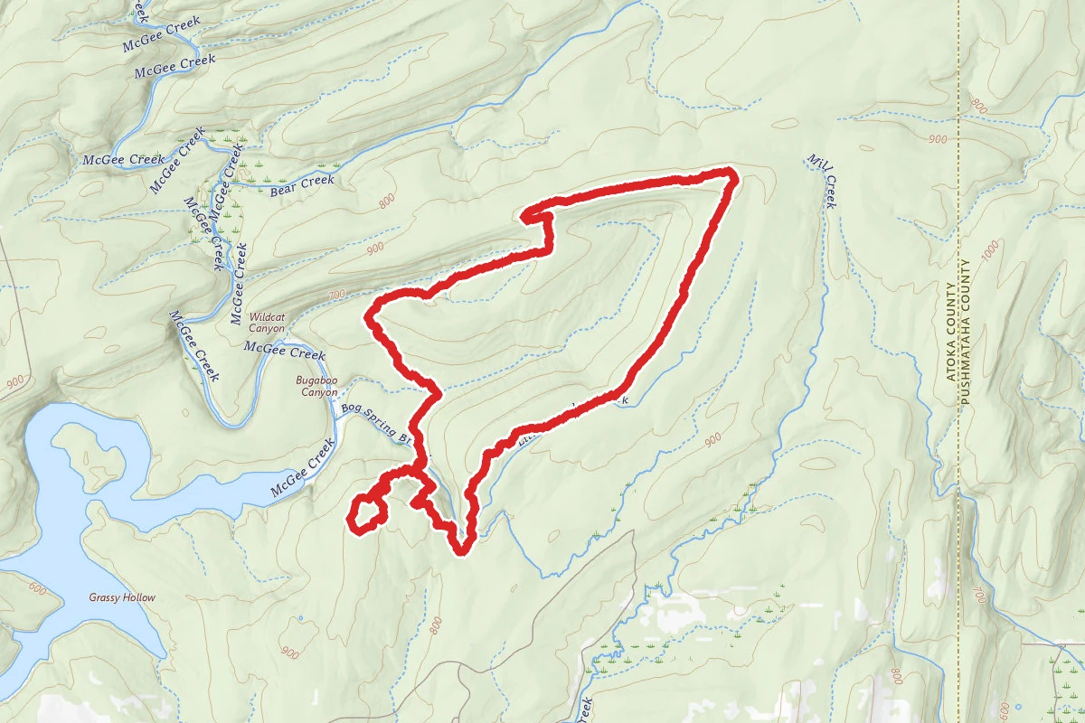 Little Bugaboo, South Rim, North Rim and Wildcat Loop