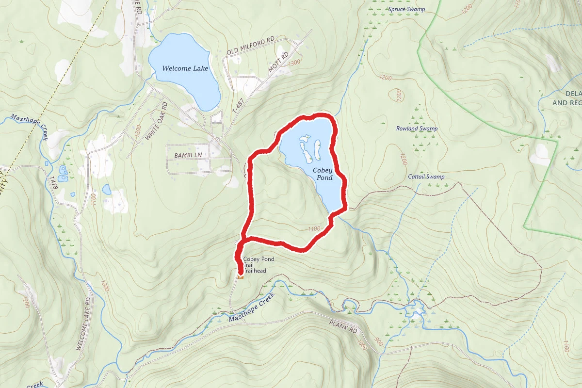 Cobey Pond Trail