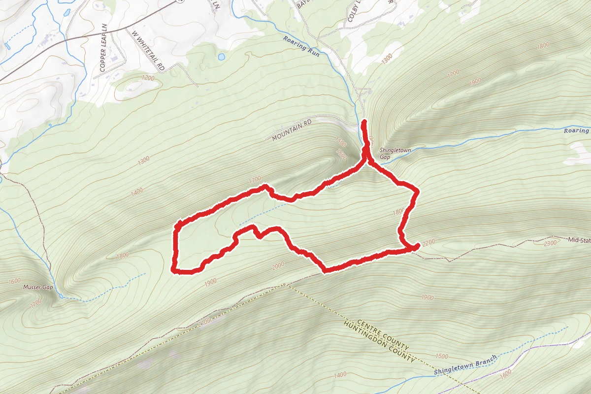 Blue-White, Lone Pine, Deer and Downer Trail