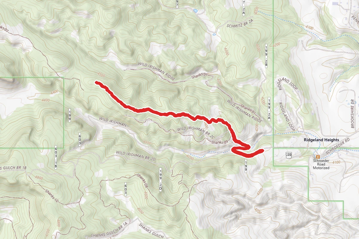 Wild Irishman Gulch Trail