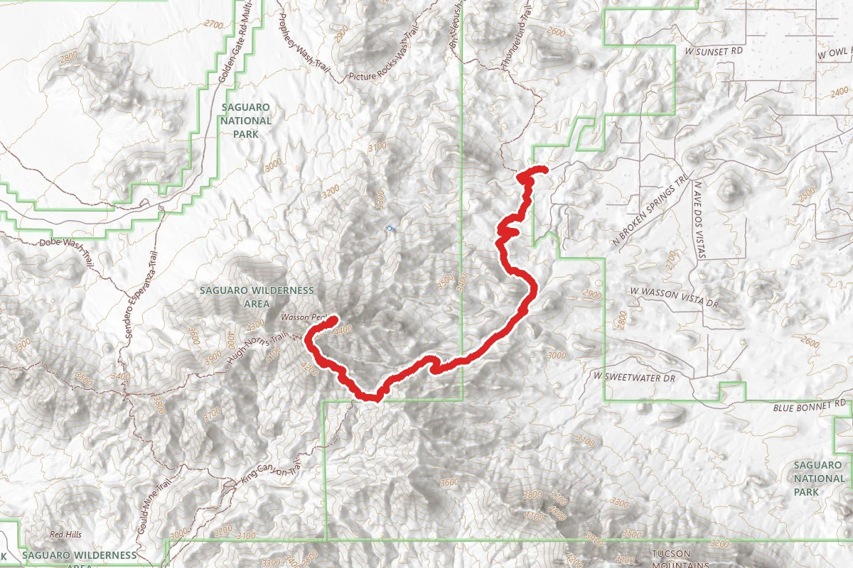 Wasson Peak via Sweetwater Trail