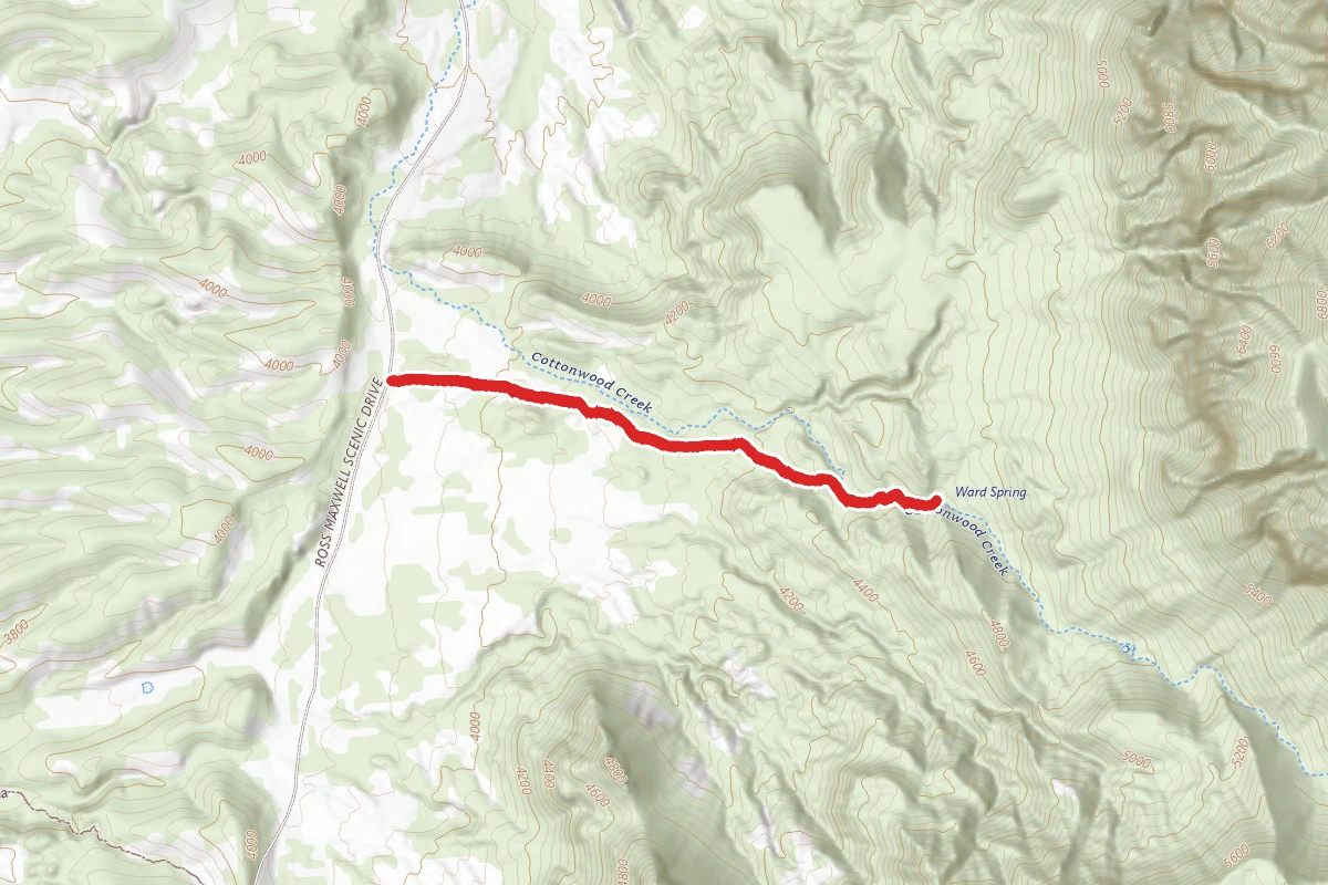 Ward Spring Trail
