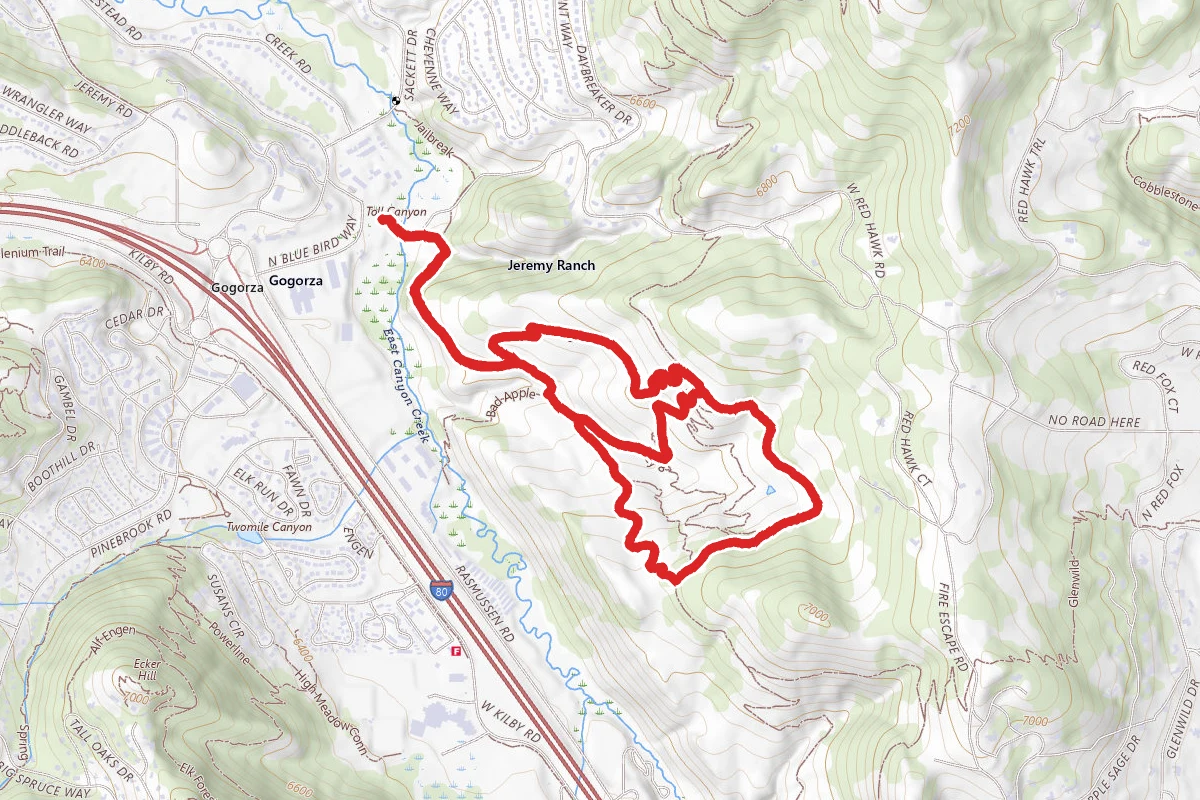 The Graduate, Fink Again, and Dropout Loop Trails