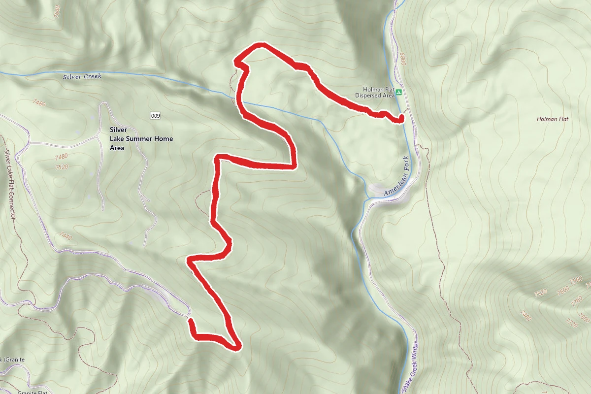Old Sheep Trail