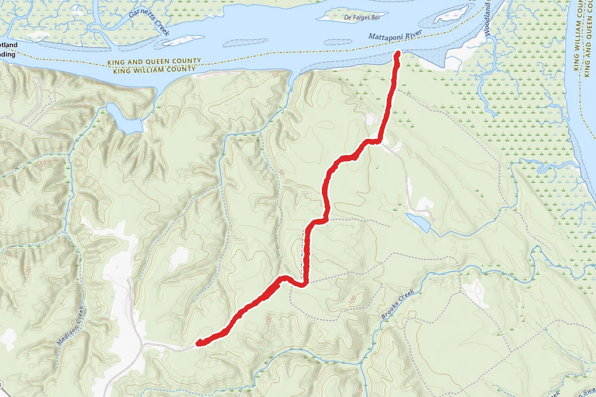 Sandy Point State Forest Trails