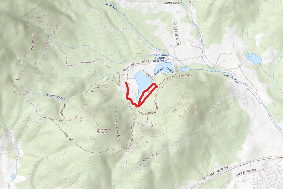 Mint Springs Upper Lake Loop