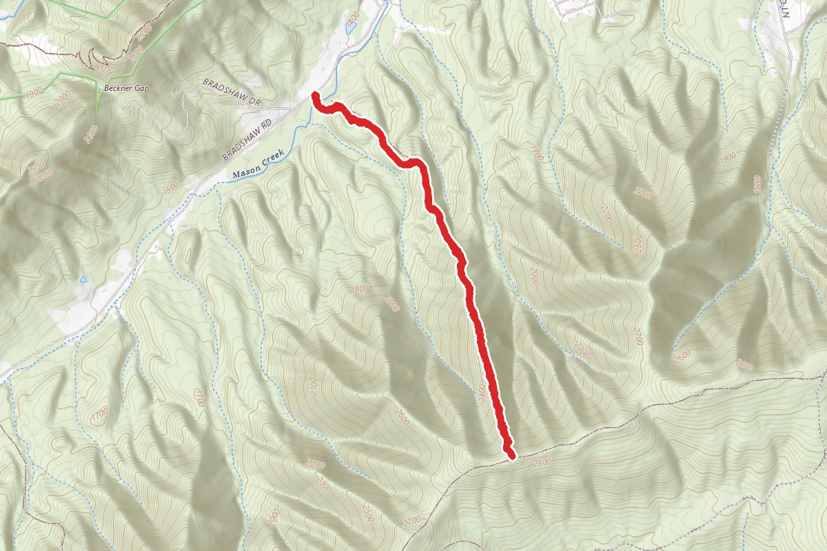 Angeline Trail