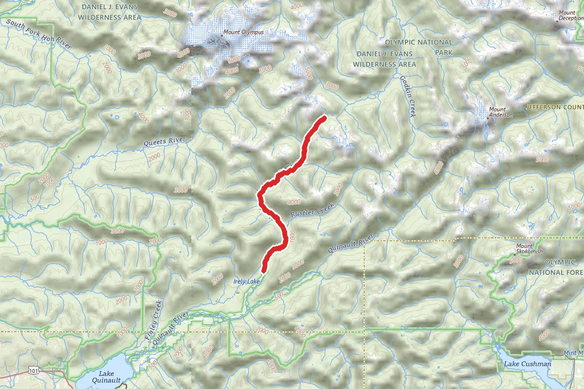 North Fork Quinault Trail