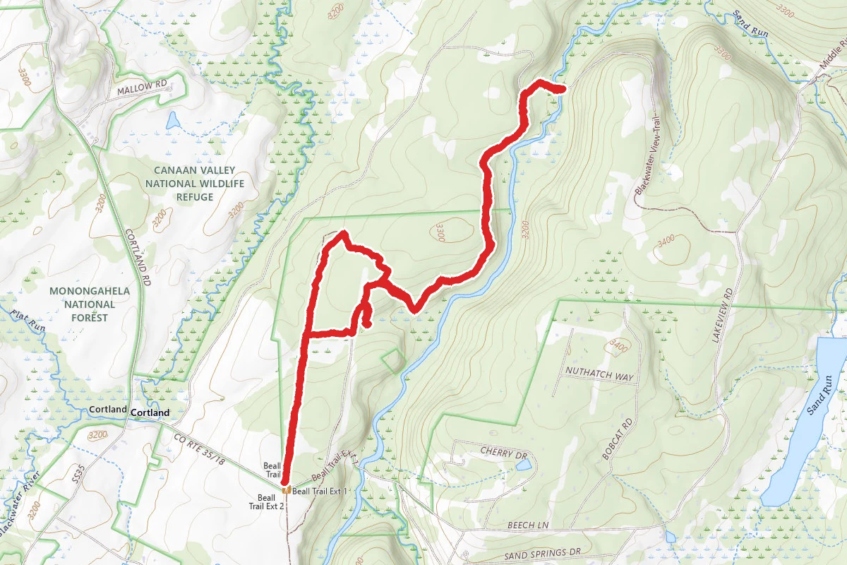 Beall Loop and Blackwater View Trail