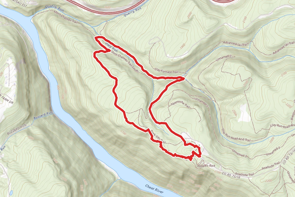 Rhododendron to Ridge to Rattlesnake Loop