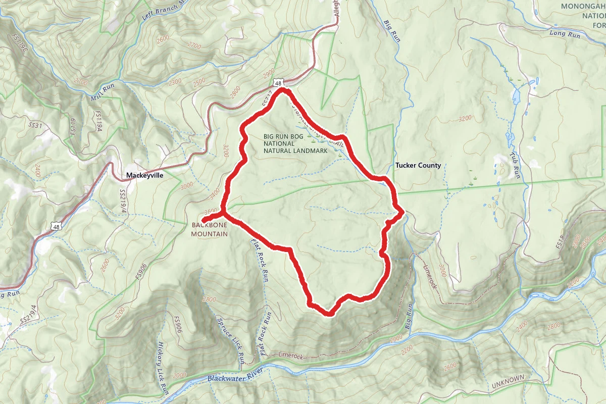 Allegheny Trail Loop