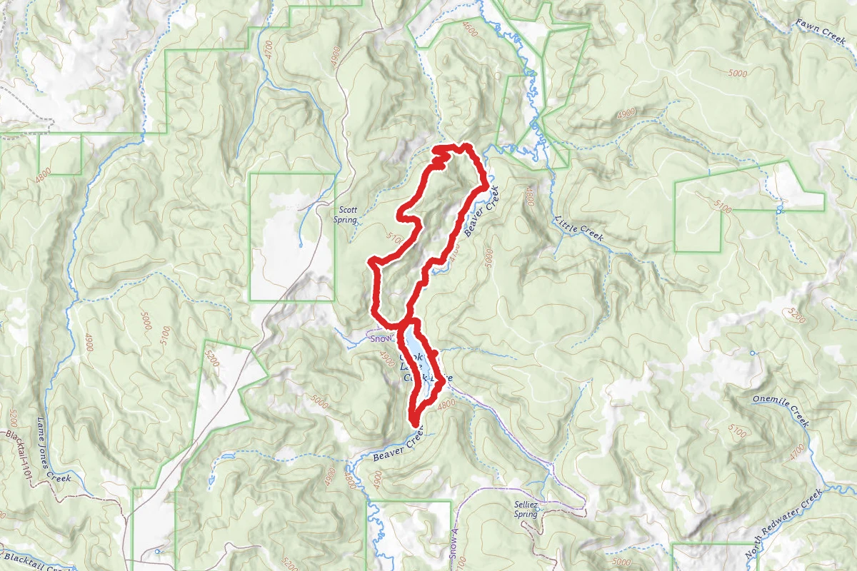 Cook Lake and Cliff Swallow Loop Trail