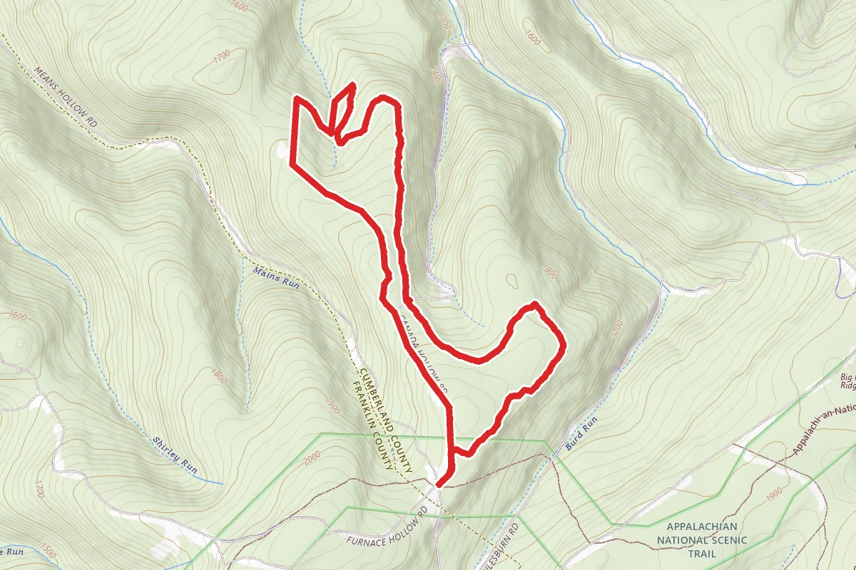 Canada Hollow Loop