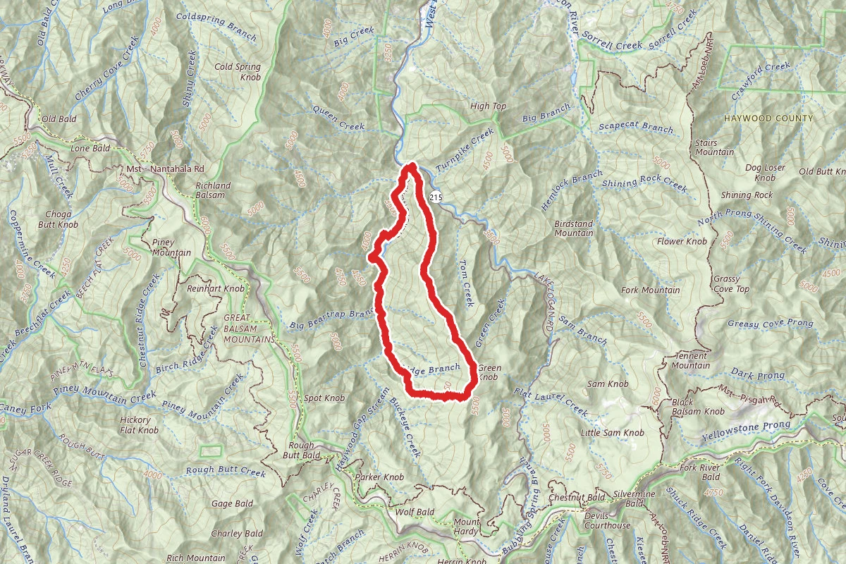 Green Knob Trail from Sunburst