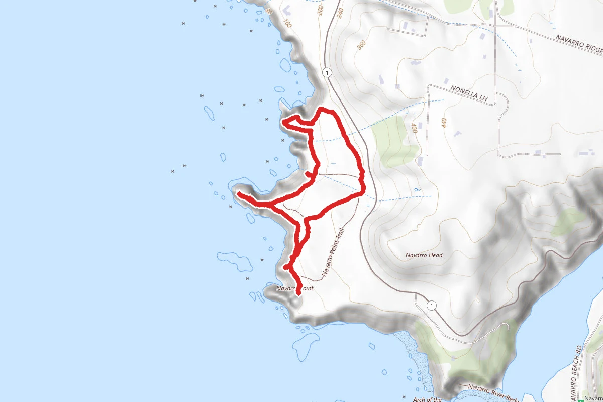 Navarro Point Preserve