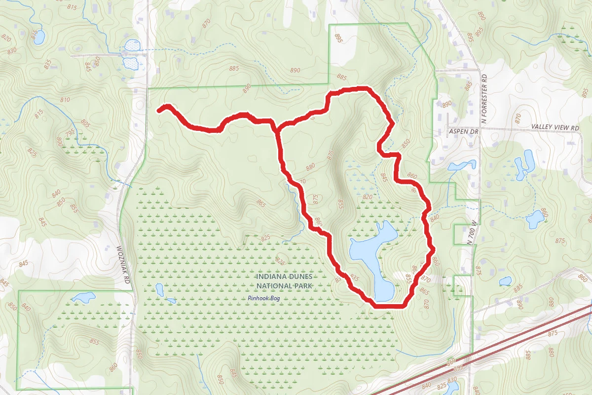 Pinhook Bog Upland Trail