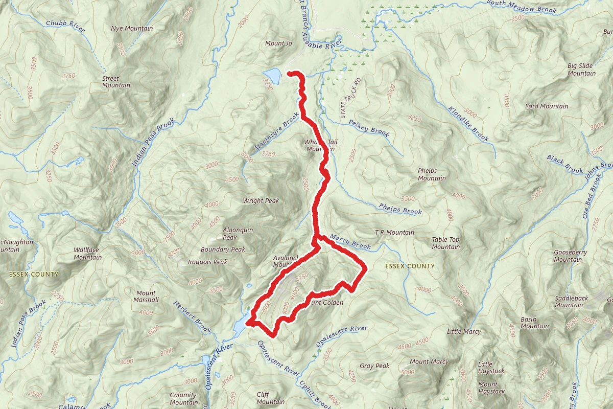 Mount Colden via Avalanche Pass Trail