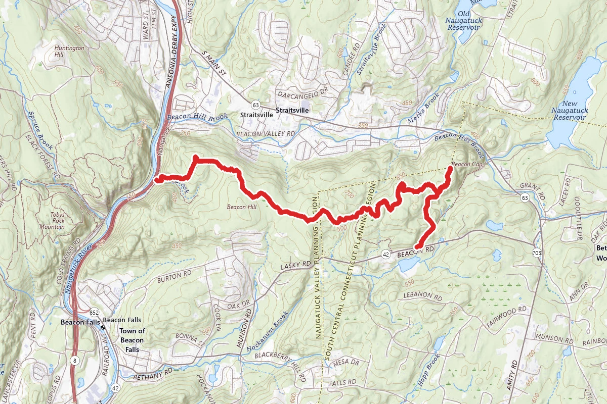 Naugatuck Trail from Beacon Road