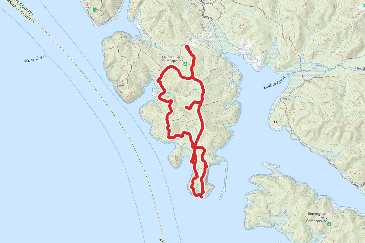 Bohanon Loop and Vogle Loop