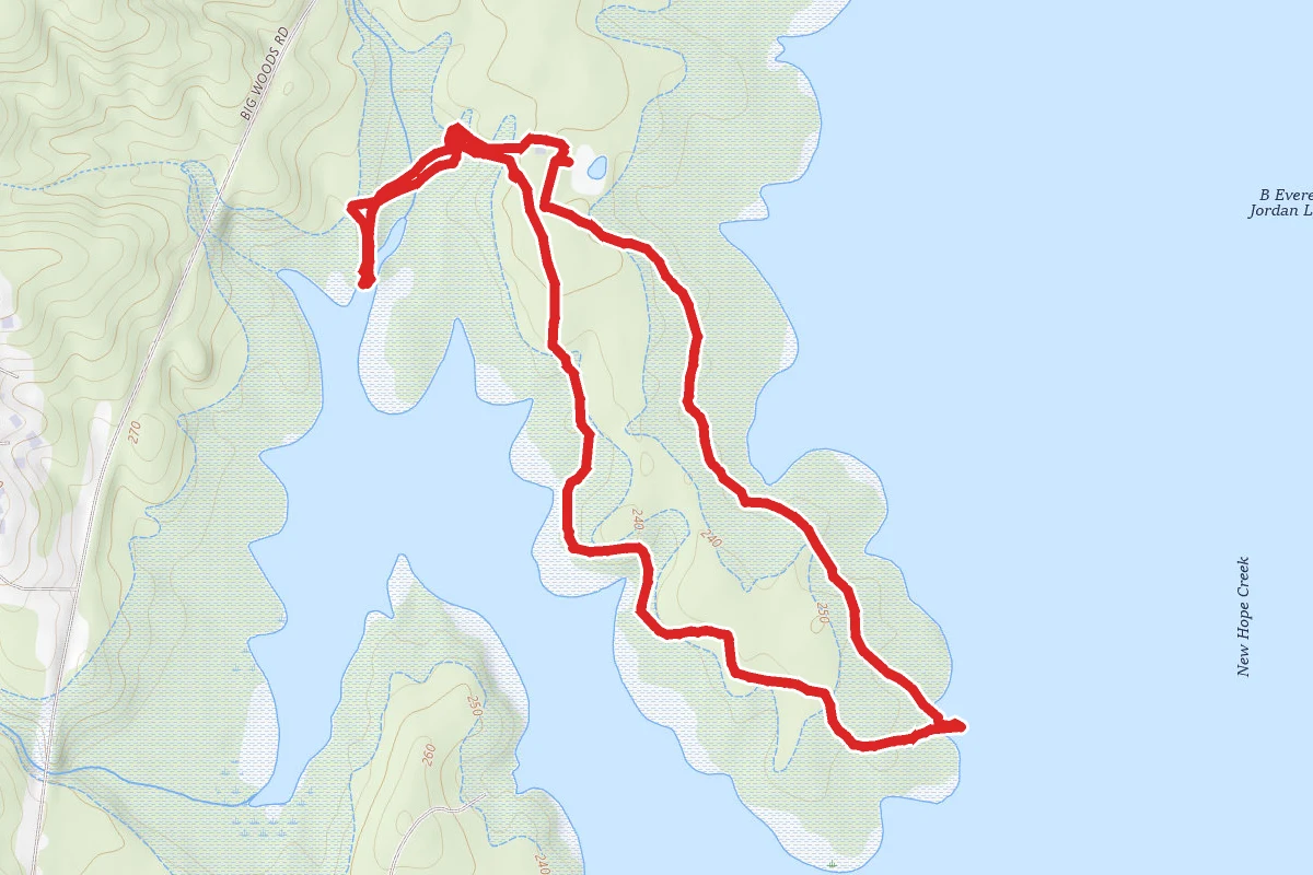 Forest Demonstration Trail