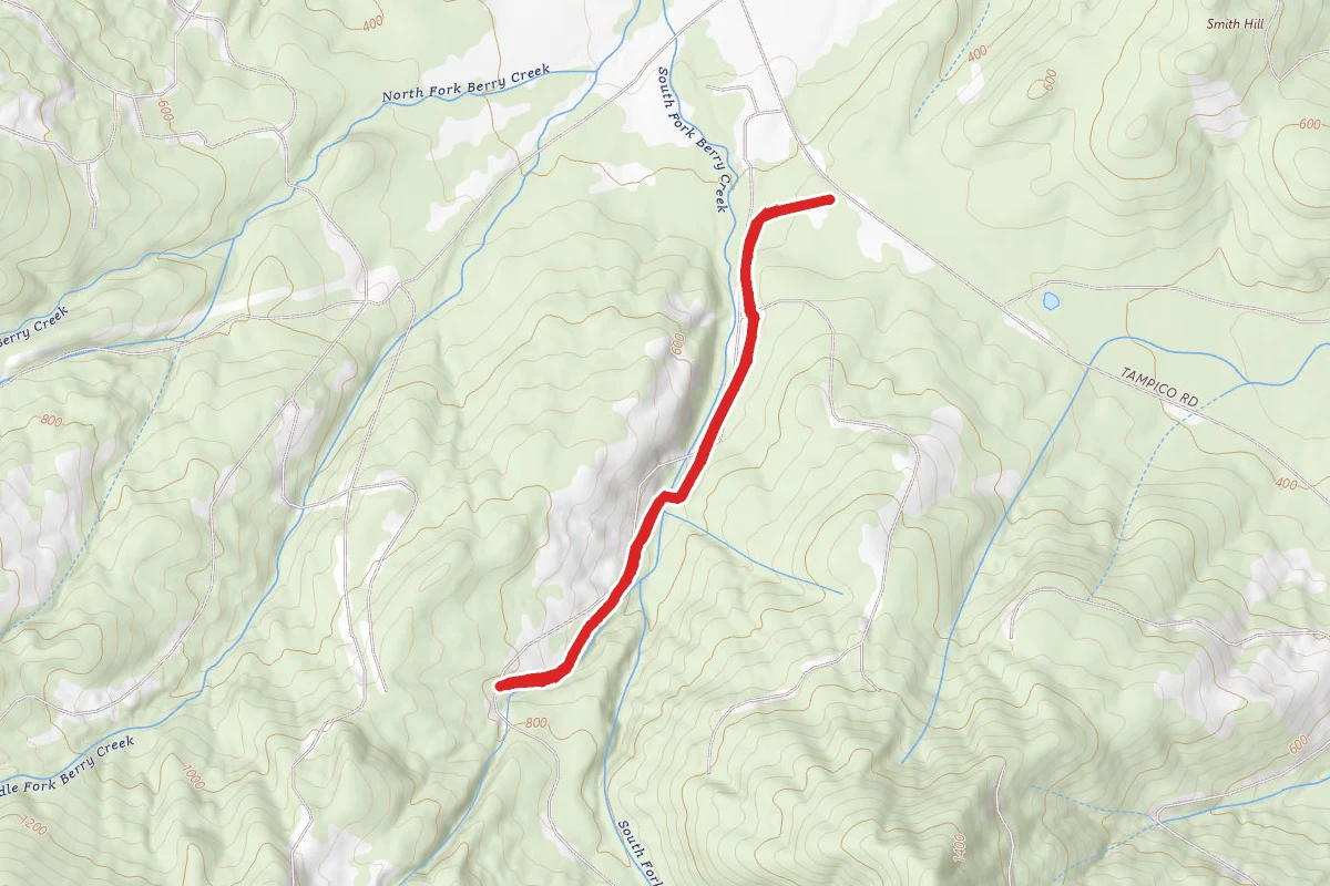 Dunn State Forest Scout Trail
