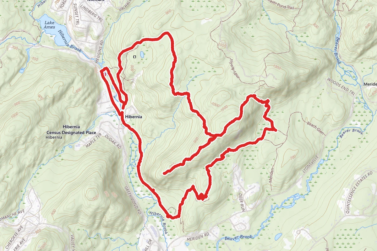 Wildcat WMA, Graffiti Cliffs, and Four Birds Trail Loop