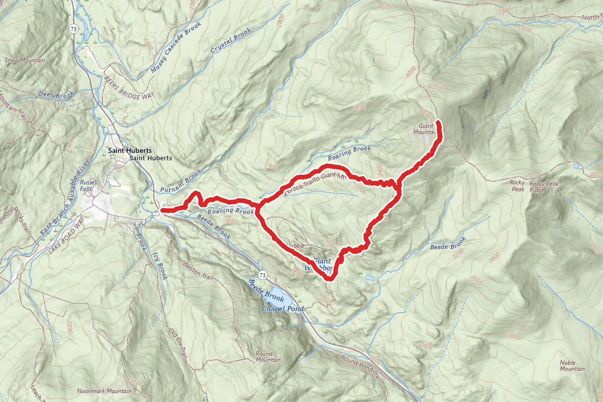 Roaring Brook Lookout, Giant Mountain, Giant Washbowl Loop