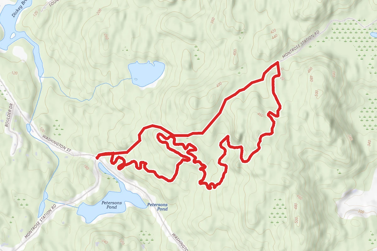 Rambler and My Favorite Trail Loop