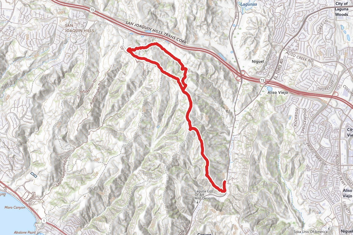 Big Bend, Lizard, and Fence Line Trail Loop
