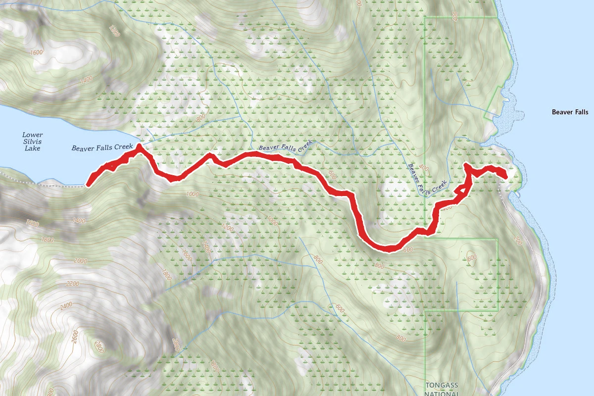 Lower Silvis Lake Trail