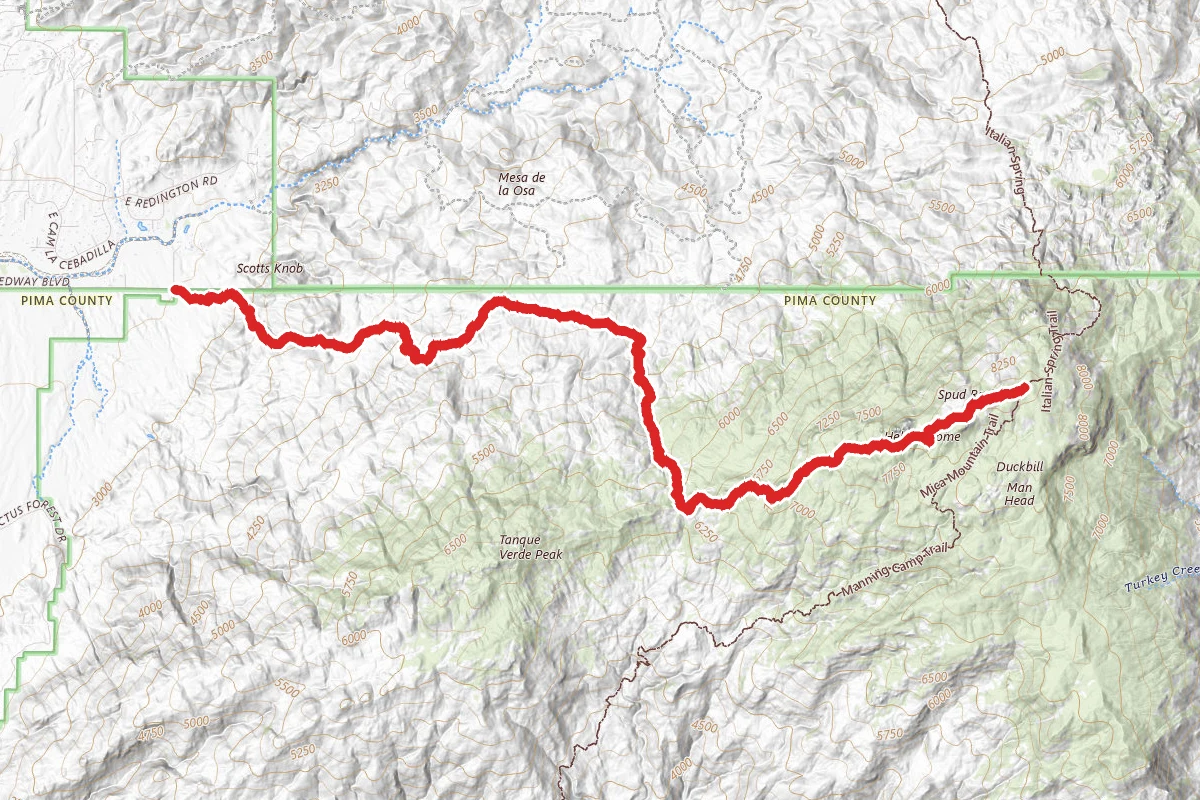 Mica Mountain via Douglas Spring and Cow Head Saddle Trail