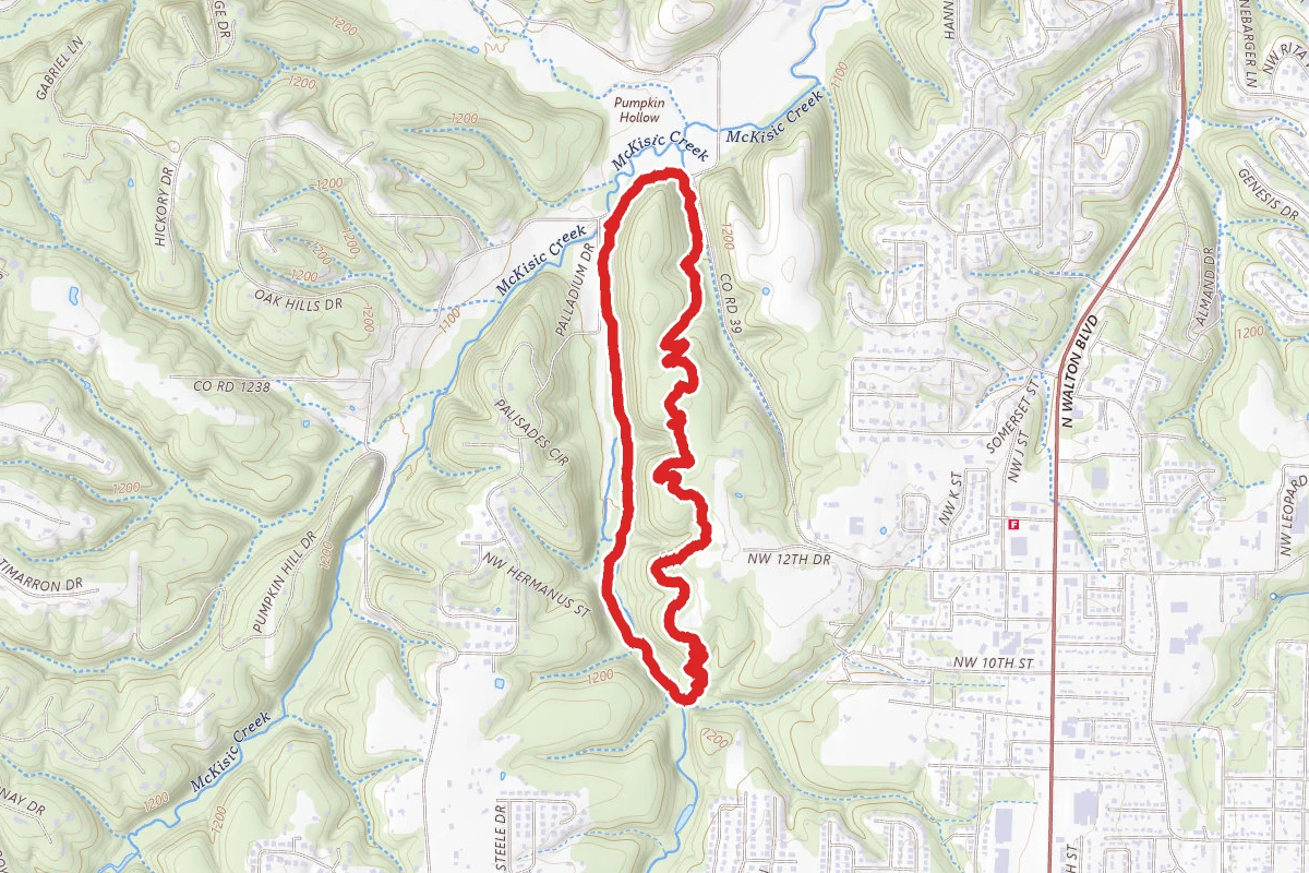 Oscar's Loop