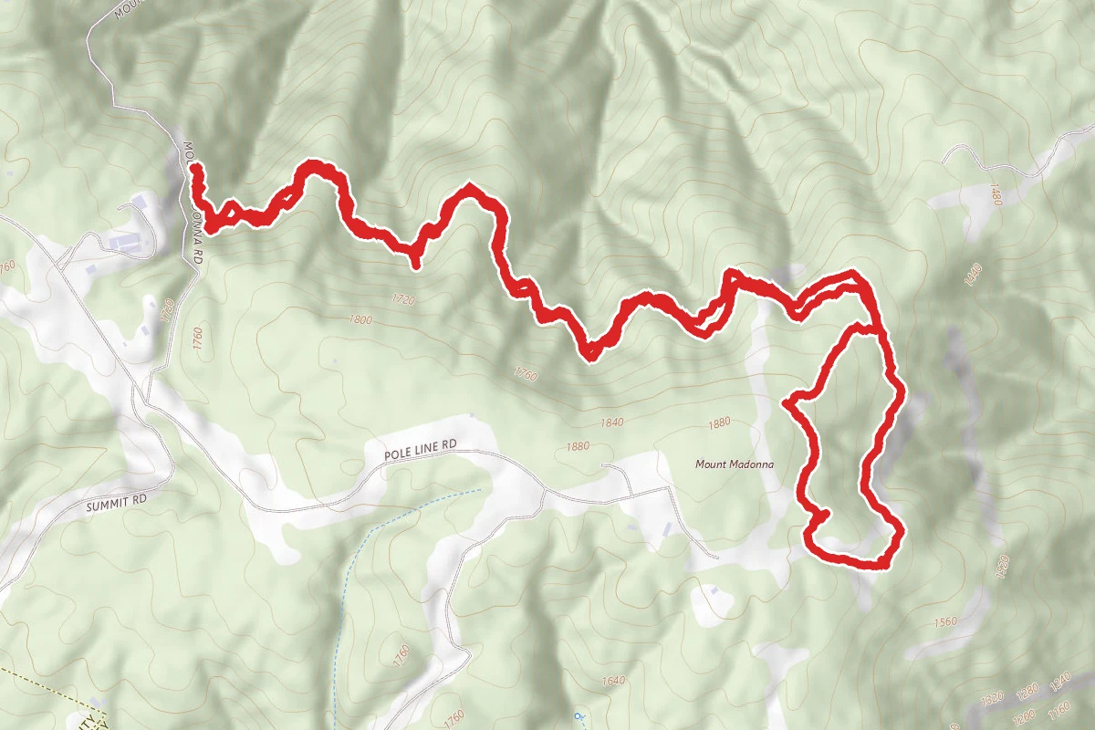 Mount Madonna Loop and Lower Miller Trail
