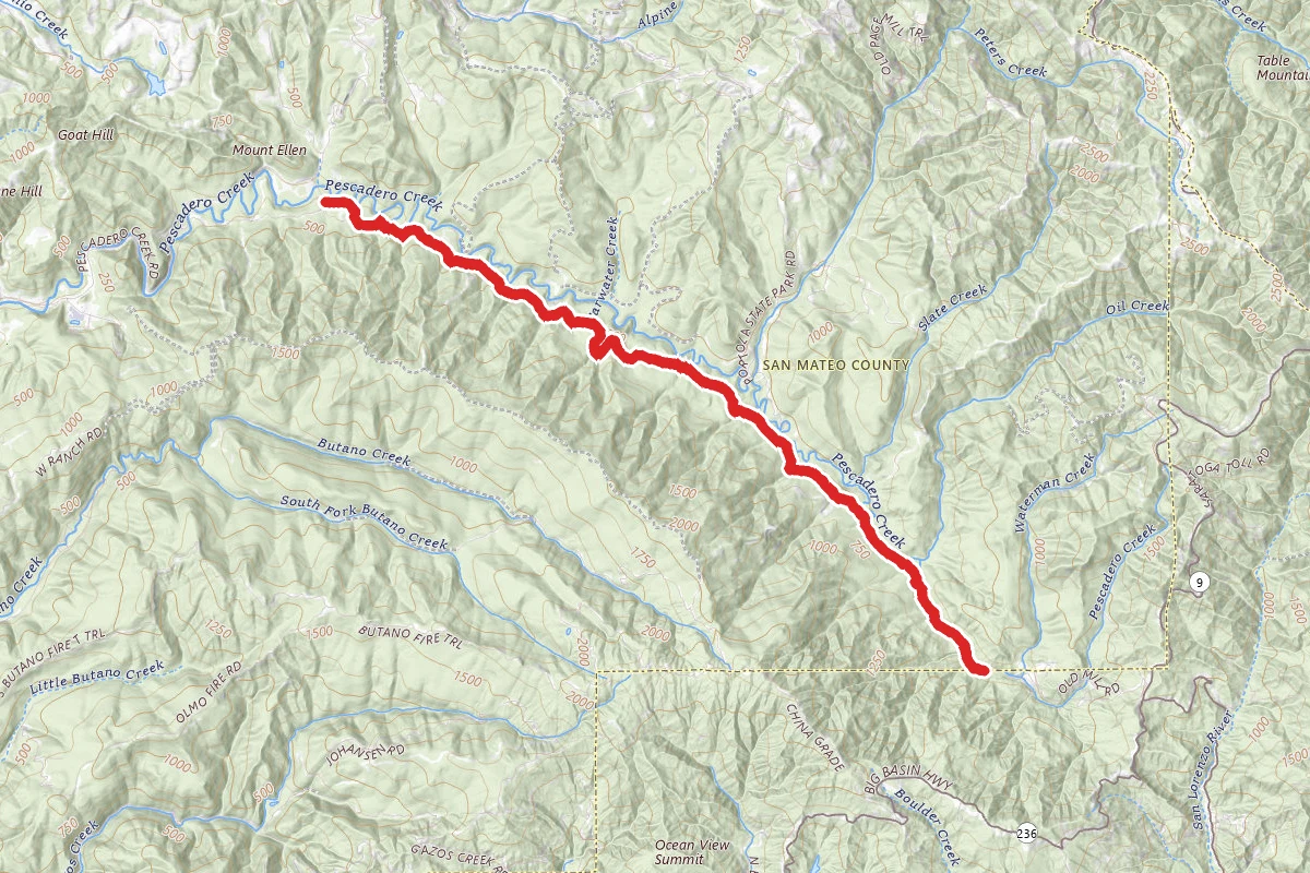 Pescadero Creek Trail