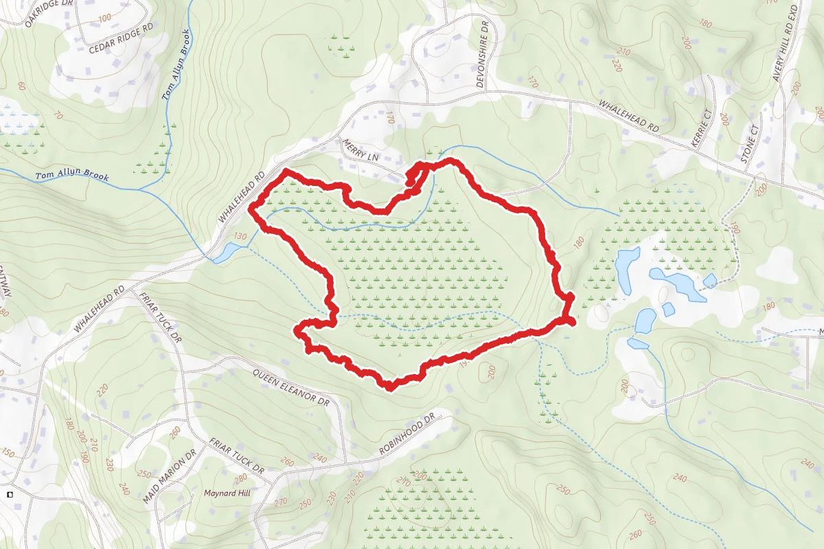 Pine Swamp Wildlife Corridor Loop