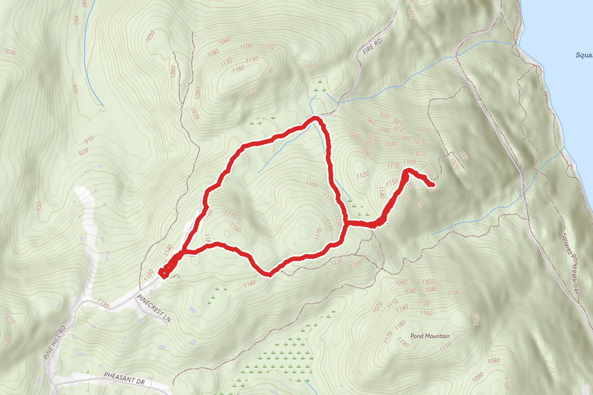 Pine Hill Road Loop