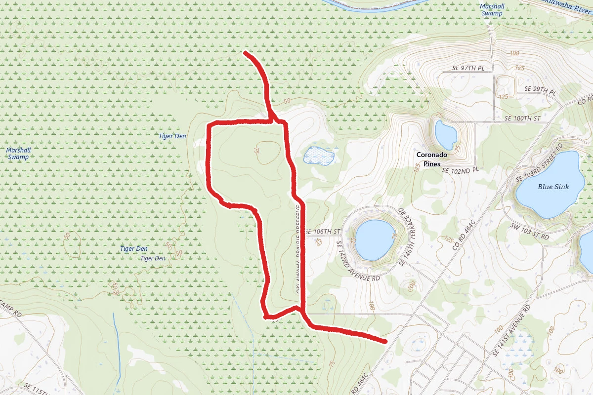 Chernobyl Memorial Forest Loop