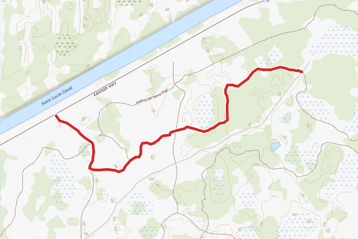 Dupuis Reserve State Forest Trail