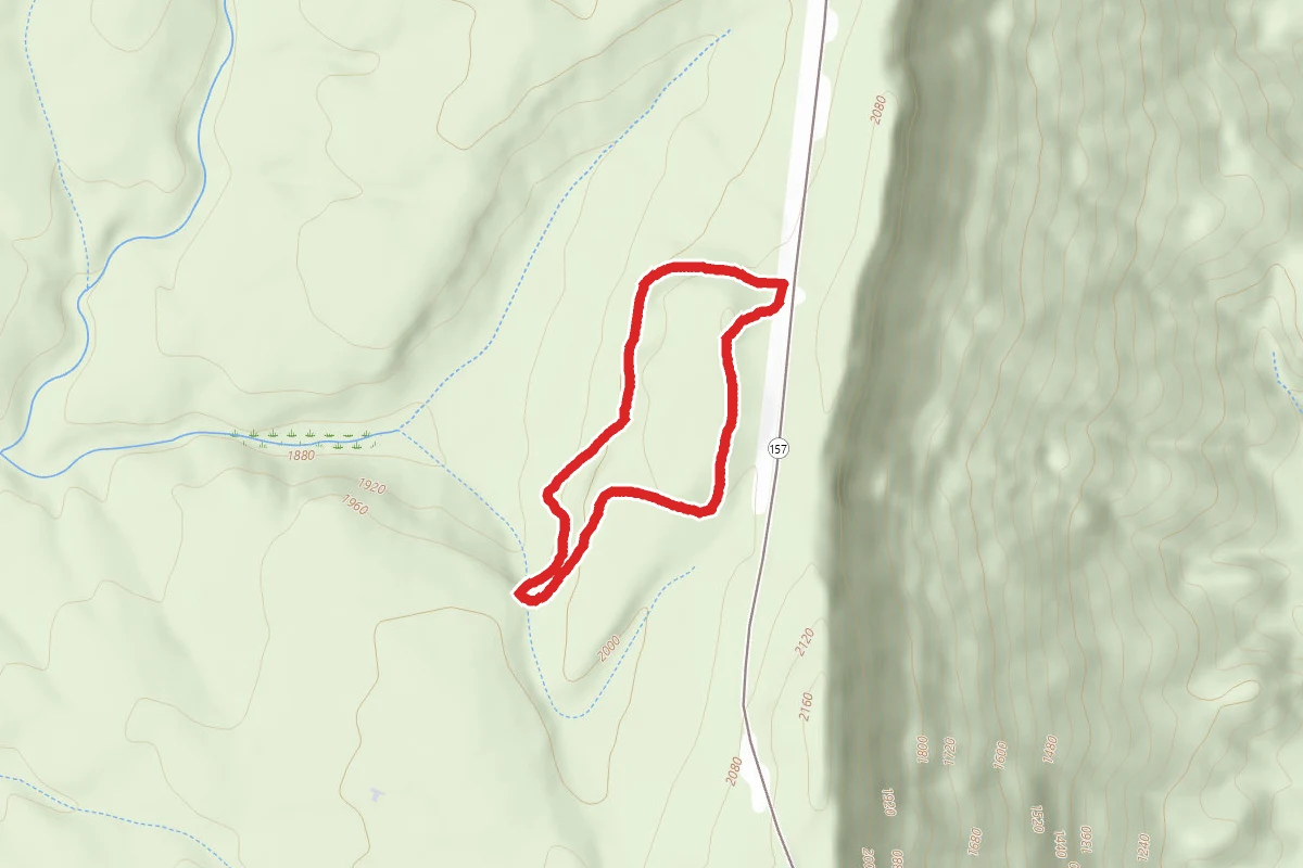 Zahnd Loop