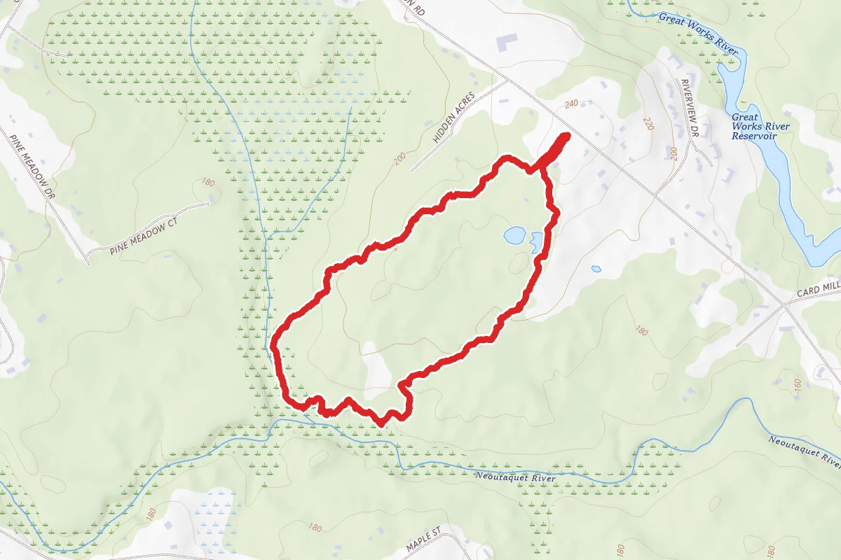 Negutaquet Conservation Loop