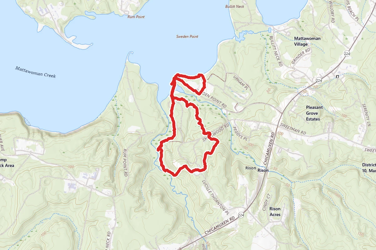 Smallwood State Park Campground Trail
