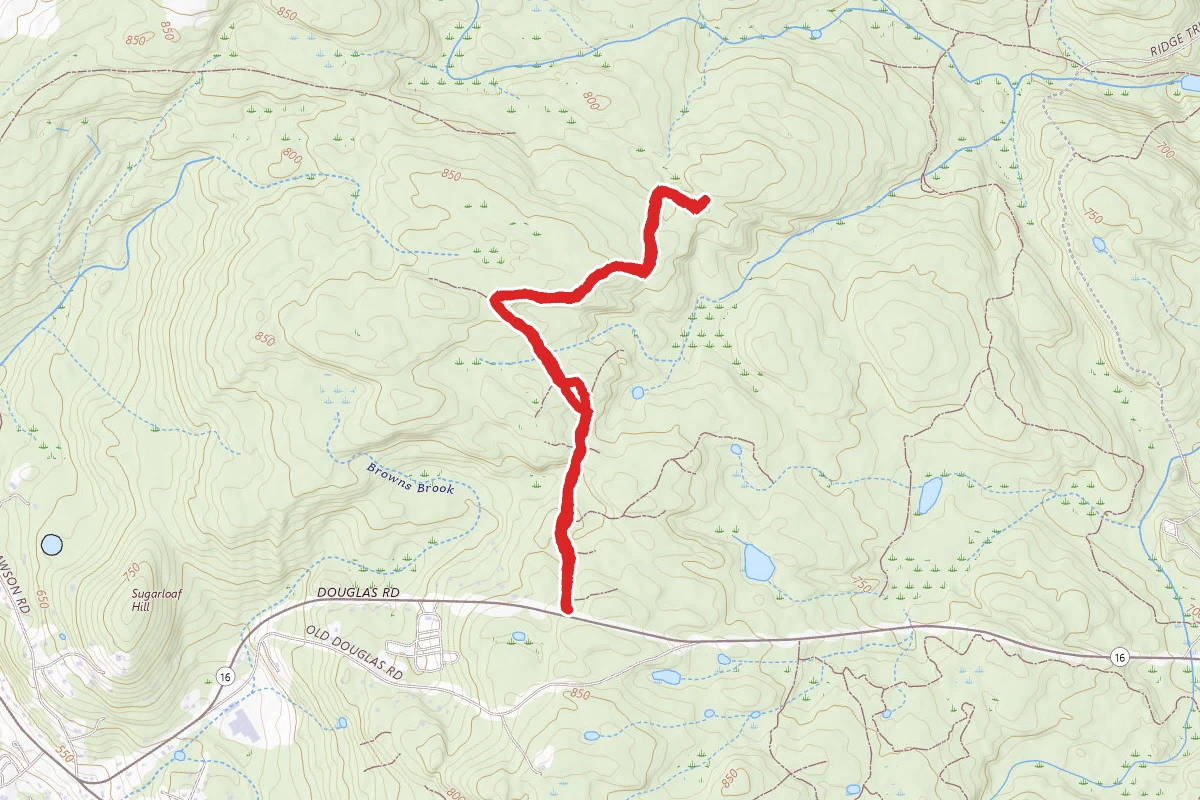 Bill Trail