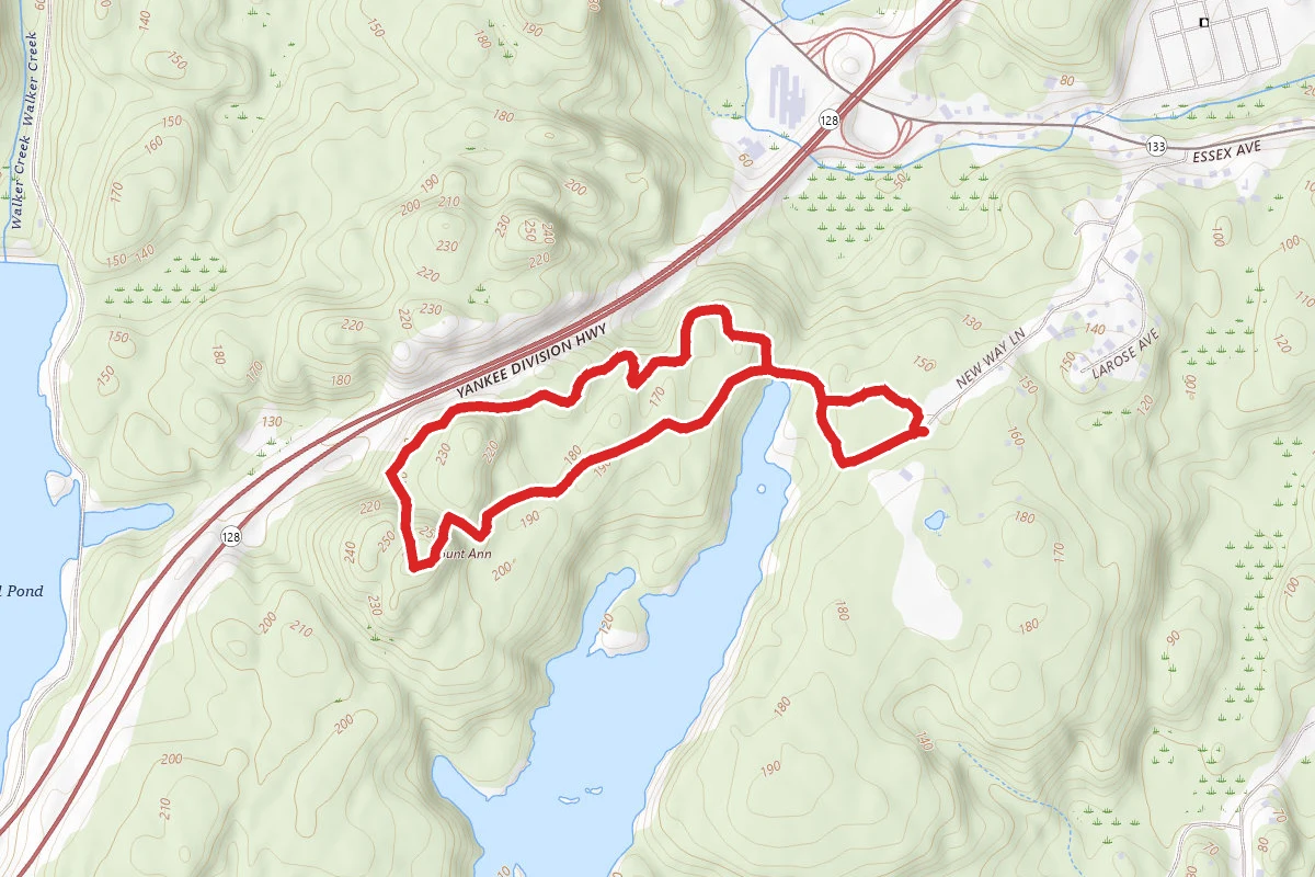 Mount Ann Park Loop