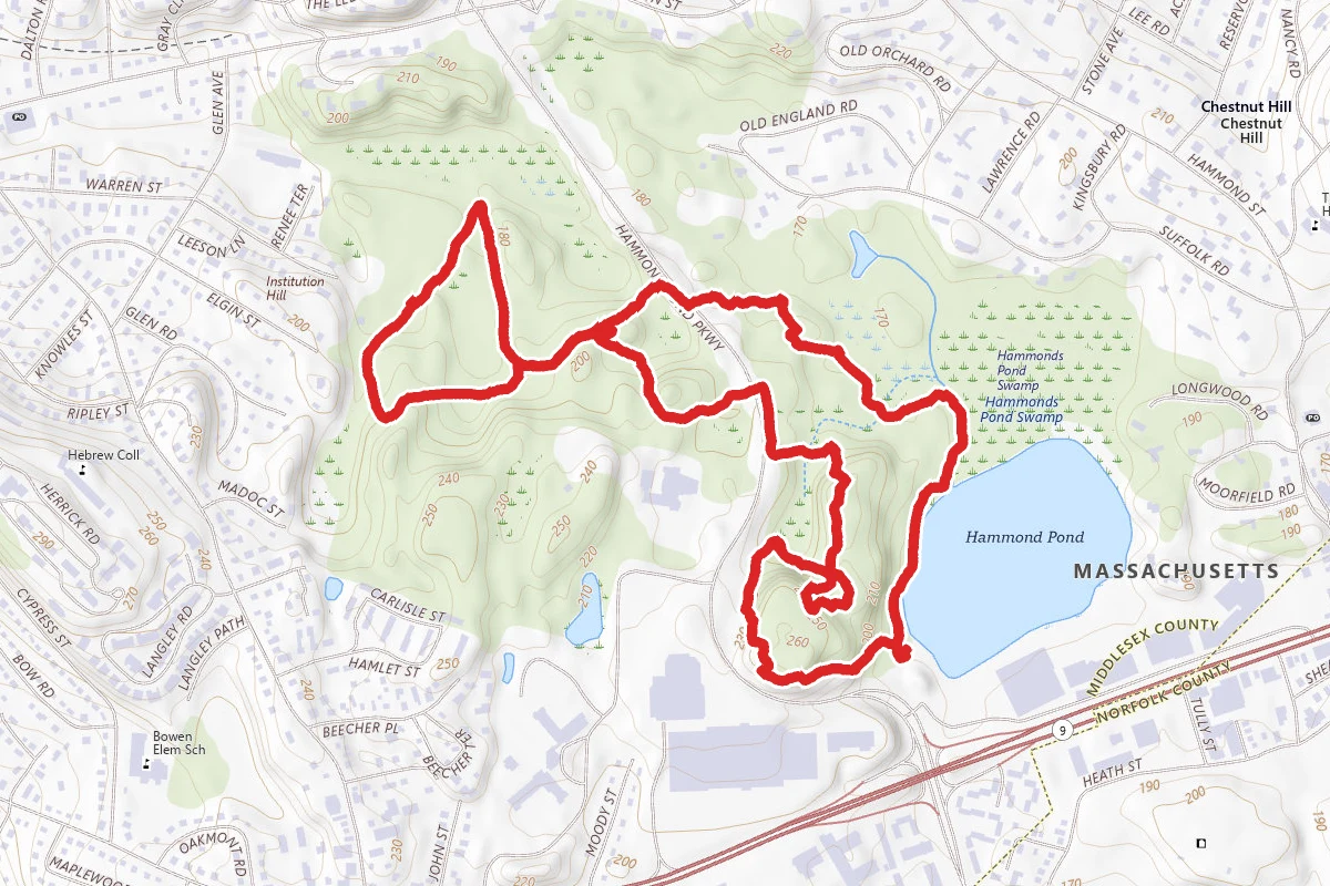 Hammond Pond Loop