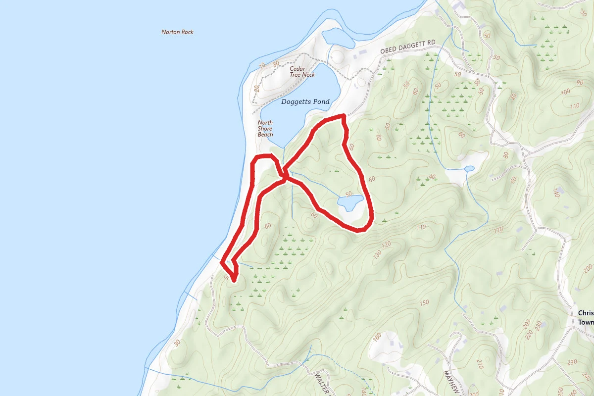 Cedar Tree Neck Trail